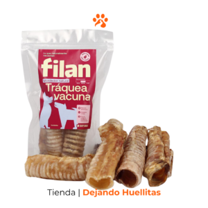 Tráquea Vacuna FILAN