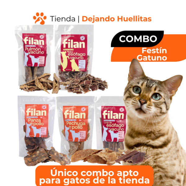 Combo Festín Gatuno: Mix de Texturas Naturales