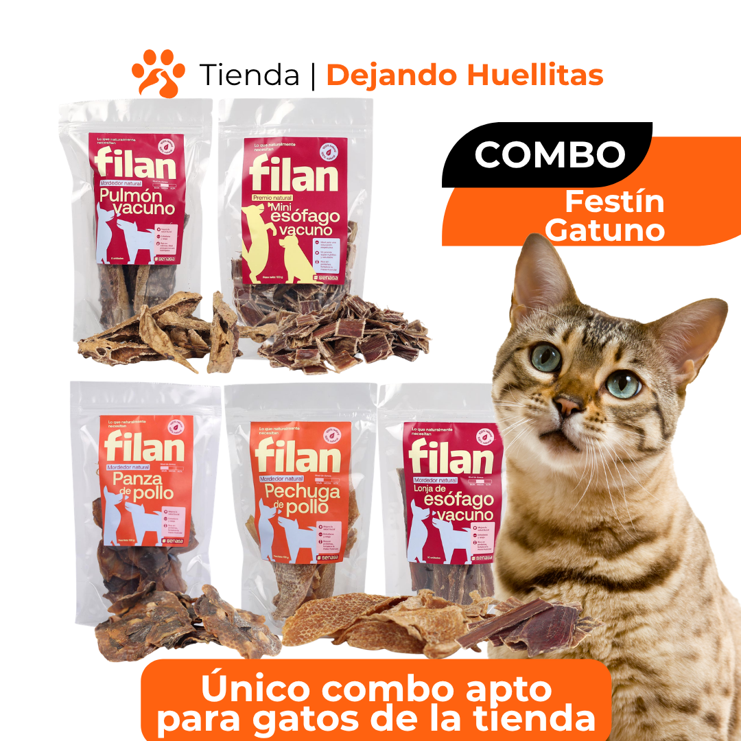 Combo Festín Gatuno: Mix de Texturas Naturales