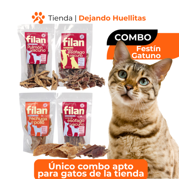 Combo Festín Gatuno: Mix de Texturas Naturales